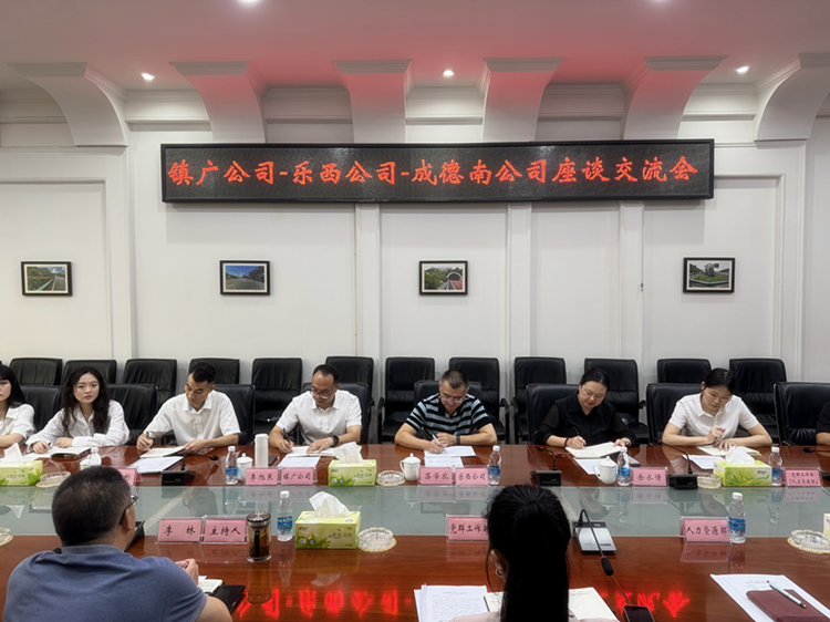 8.29+人力資源部+鎮(zhèn)廣、樂西公司赴成德南公司開展交流座談.JPG